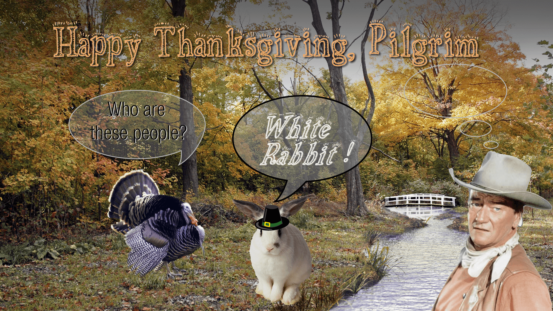 white-rabbit-november-2016